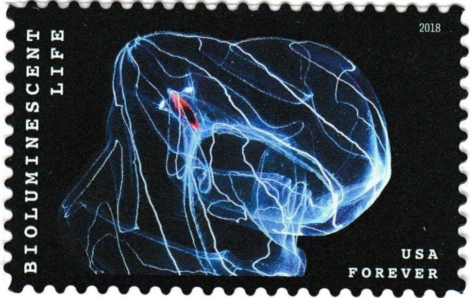 US postage stamp of a bio-luminescent jellyfish.